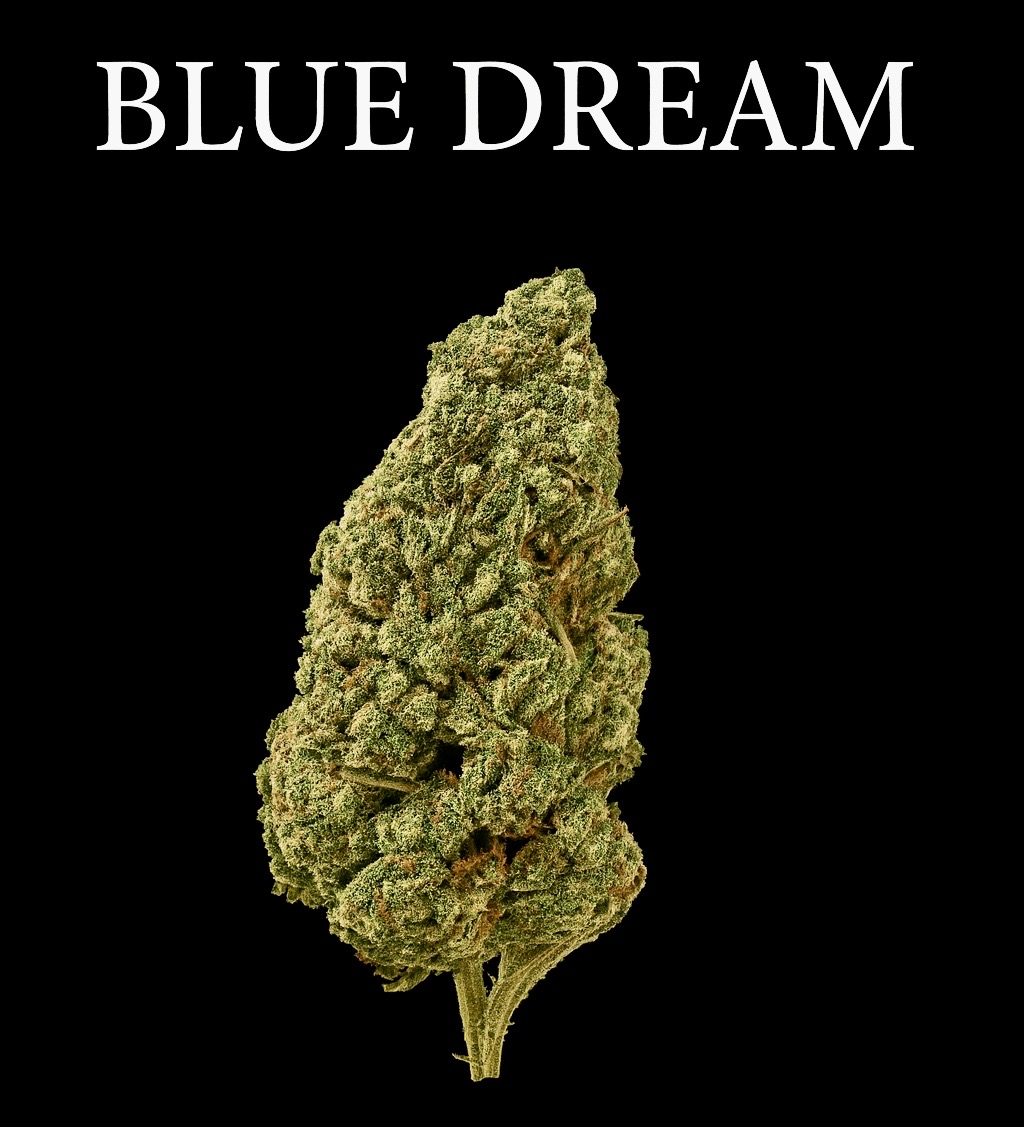 Blue Dream